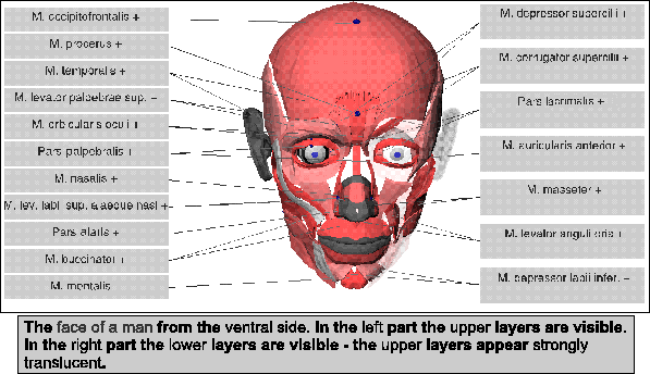 figure195