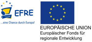 Hybride Informationsextraktion aus Texten