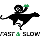 Fast&Slow – Kombination Symbolischer und Subsymbolischer Methoden