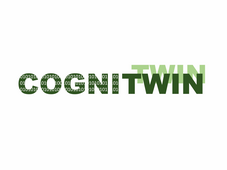 Cognitive Digital Twin